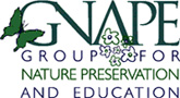 GNAPE