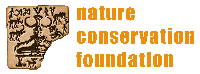 NCF