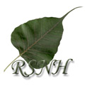RSNH