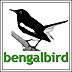 bengalbird