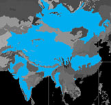 Map_global bnw copy copy