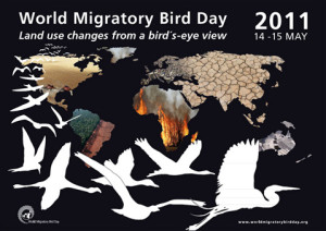 wmbd_2011_poster_web_340h
